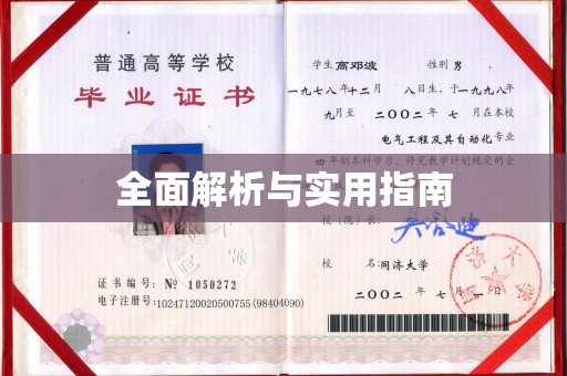 仲巴全面解析与实用指南